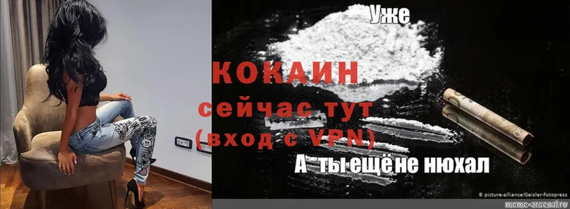 Cocaine Fish Scale  Краснослободск 