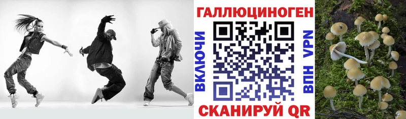 Галлюциногенные грибы Cubensis  Краснослободск 